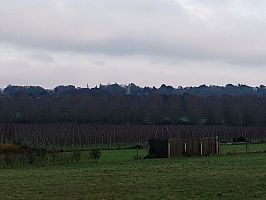 Bromeswell church on my walk.
